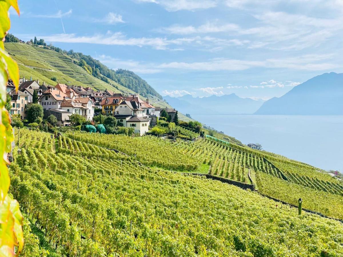 Montreux Holiday Home Zewnętrze zdjęcie