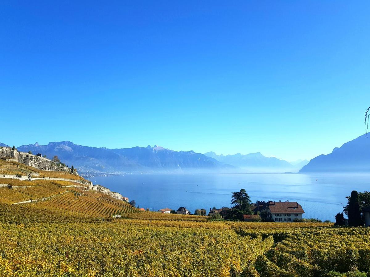 Montreux Holiday Home Zewnętrze zdjęcie